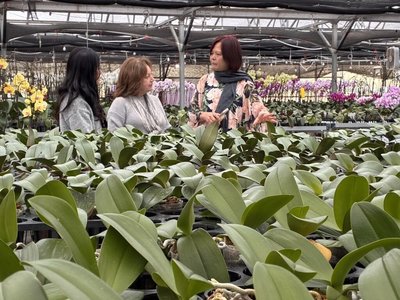 台美新經貿　蘭花業者籲思考貼近市場在地化生產