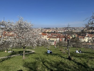 捷克首季萊姆病逾1300例　專家籲穿長褲、避免坐草地