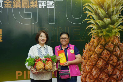 屏東金鑽鳳梨評鑑 潮州農友摘冠並獲甜度王