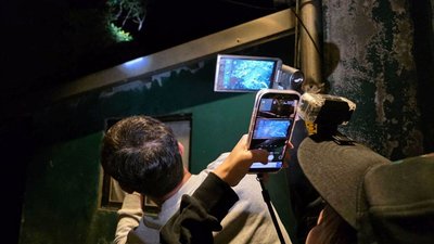 黑狗困密林難搜救辨識　新北動保處熱顯像奏效