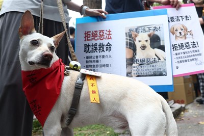 寵物用藥新制爭議多 農業部:將註銷、另推新辦法