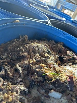 彰化芬園2豬場廚餘養豬　移動管制最高罰400萬