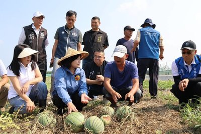 清明連雨二崙西瓜南瓜爛根 雲縣府現勘爭取現金救助