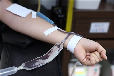 中國捐血黑色產業鏈　仲介炒作「獻血證」牟利