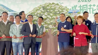 新北桐花祭揭幕邁入29年　賞花兼承傳客家文化