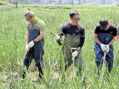 打造北台灣首座國際級濕地　星展投入3000萬守護淡水河