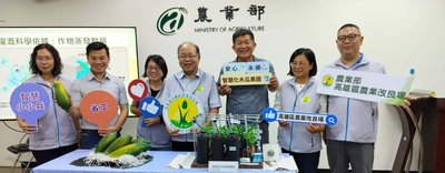 高雄農改場推木瓜智慧灌溉與防蟎　採收估增2成