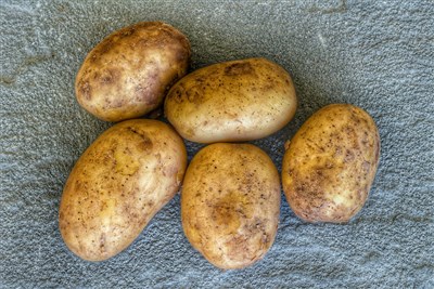 馬鈴薯輸台邊境管制　財部：收到檢疫合格通知才放行