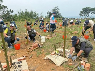 種千株原生植物　台61線打造首座公路生態樹島