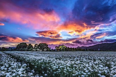 桃園大溪中庄休閒農業區獲劃定　具觀光發展潛力