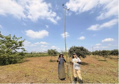 屏東推「生態薪水」護草鴞　擴大納入長治、萬丹鄉