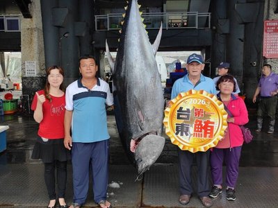 台東第一鮪逾175公斤上岸　縣府將發20萬元獎勵