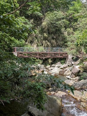 谷關七雄唐麻丹山蝴蝶谷步道改線完工 全面開放