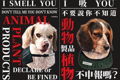 桃機檢疫犬凶狠海報紅到日本　台灣諧音哏引熱議