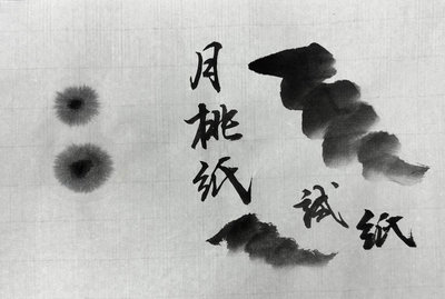 月桃新經濟價值  林試所：可成為高價手工紙材料