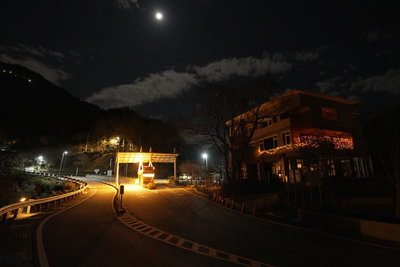 暗空協會母親節走進拉拉山　串聯花藝山林星空體驗