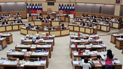 議員欲借貓弭鼠患　新北農局：收容貓不會抓老鼠