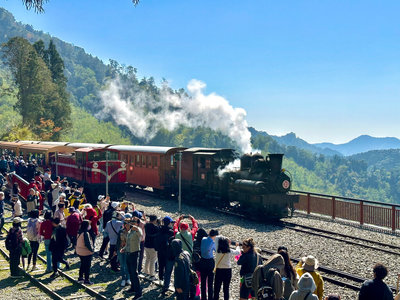 嘉縣推暑假親子鐵道之旅　搭蒸汽火車遊阿里山