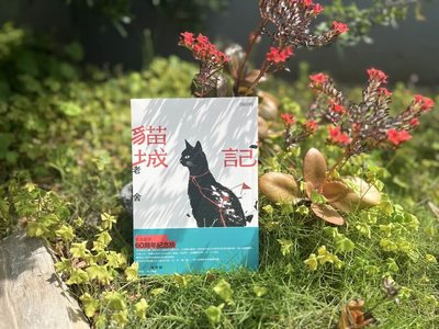 老舍科幻小說「貓城記」 先見之明諷刺失序現代文明
