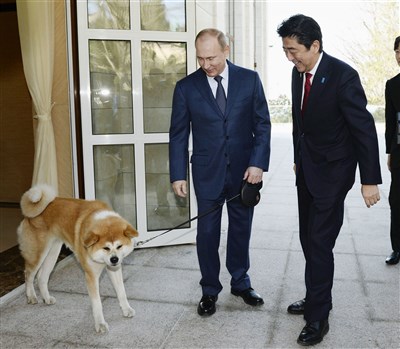日俄狗狗外交象徵　秋田犬「夢」衰老過世