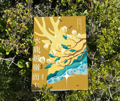 涂瀞尹小說水鹿越嶺而來　覓尋台灣人跨國打拚足跡