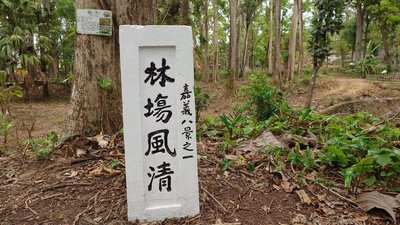 嘉南里山市集23日嘉義樹木園登場　推友善生態