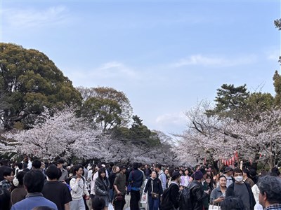 4月中國赴日遊客大減57%　外國遊客卻創今年新高