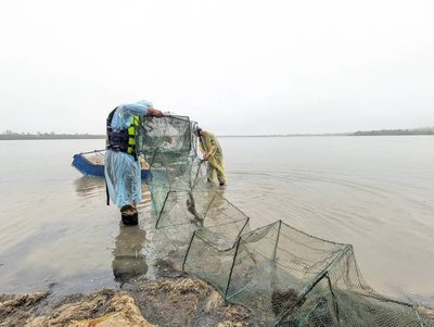 金門慈湖濕地查緝非法網具 金管處評估設監視器