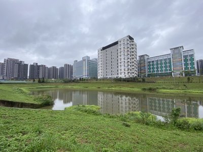 中華郵政估A7園區6月完成優化　下半年招募1448人