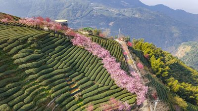 南投10億蓋纜車串聯太極峽谷遊憩帶　盼2031年營運