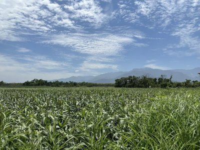 慎防高溫熱傷害 花蓮縣府籲加強農漁畜夏季管理