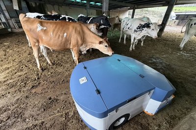 工研院攜手畜試所推機器人養牛　餵食清潔全包