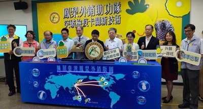 突破鳳梨檢疫關卡  農試所推技術助攻海外市場
