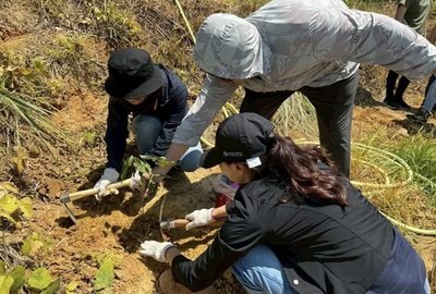 中華大學攜手企業親子植樹　竹縣荒廢茶園變生態林