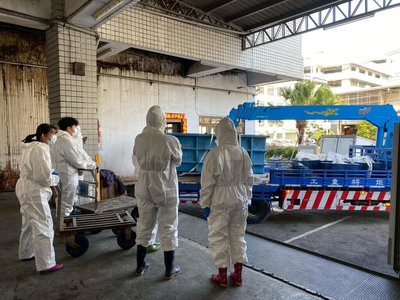 長須鯨死亡擱淺花蓮海岸　科博館將製標本