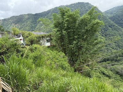 南投霧社中巴墜坡 駕駛無照還有97張罰單未繳