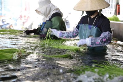 返鄉扛起農務移工業務 劉碧華見證美濃轉變