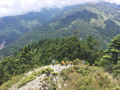 端午假期登奇萊 太管處揪團淨山