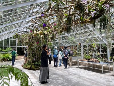 阿里山植物園溫室浮光界開幕　升級森林療癒體驗