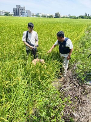 台中警攻堅嫌犯衝撞 小隊長左手肘粉碎性骨折送醫