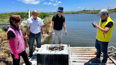 連續豪雨雲林文蛤災損 藍綠籲中央公告天然災害救助