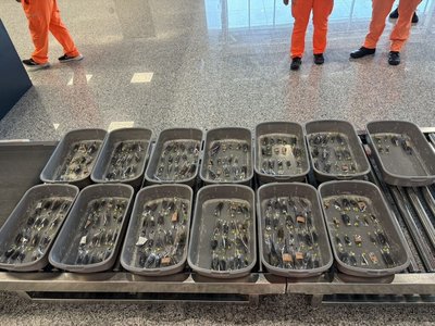 金門小三通旅客藏數百甲蟲欲出境 當場查獲函送