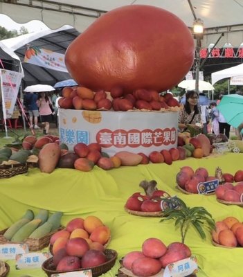 2026台南國際芒果節開幕　黃偉哲盼推向歐洲市場