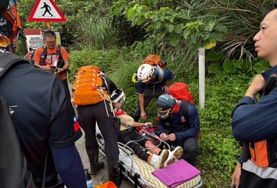 新北貢寮30多人登山遇蜂群　4人遭螫傷送醫