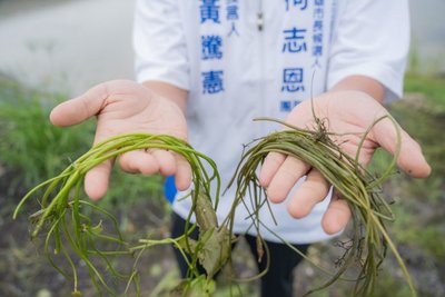 柯志恩指大雨水蓮災損遭質疑　青農：確有損失