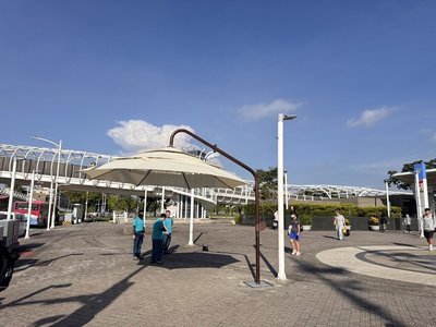 天氣炎熱　高雄輕軌轉乘路口裝設手動遮陽傘