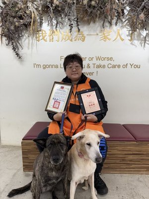 北市動物之家志工守護浪浪近20年 3000小時不離不棄