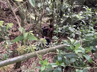 男嘉義深山打獵不慎墜谷 同行友人發現時已身亡