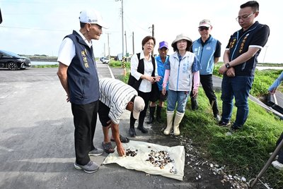 王惠美會勘彰化芳苑文蛤災損 爭取納現金救助