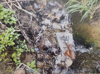 逾百隻死雞打包丟溪中　苗栗縣牧場業者遭起訴